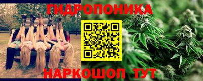 Альфа ПВП Лесосибирск