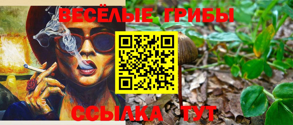 Горно-Алтайск  Галлюциногенные грибы ЛСД  Вход с VPN 